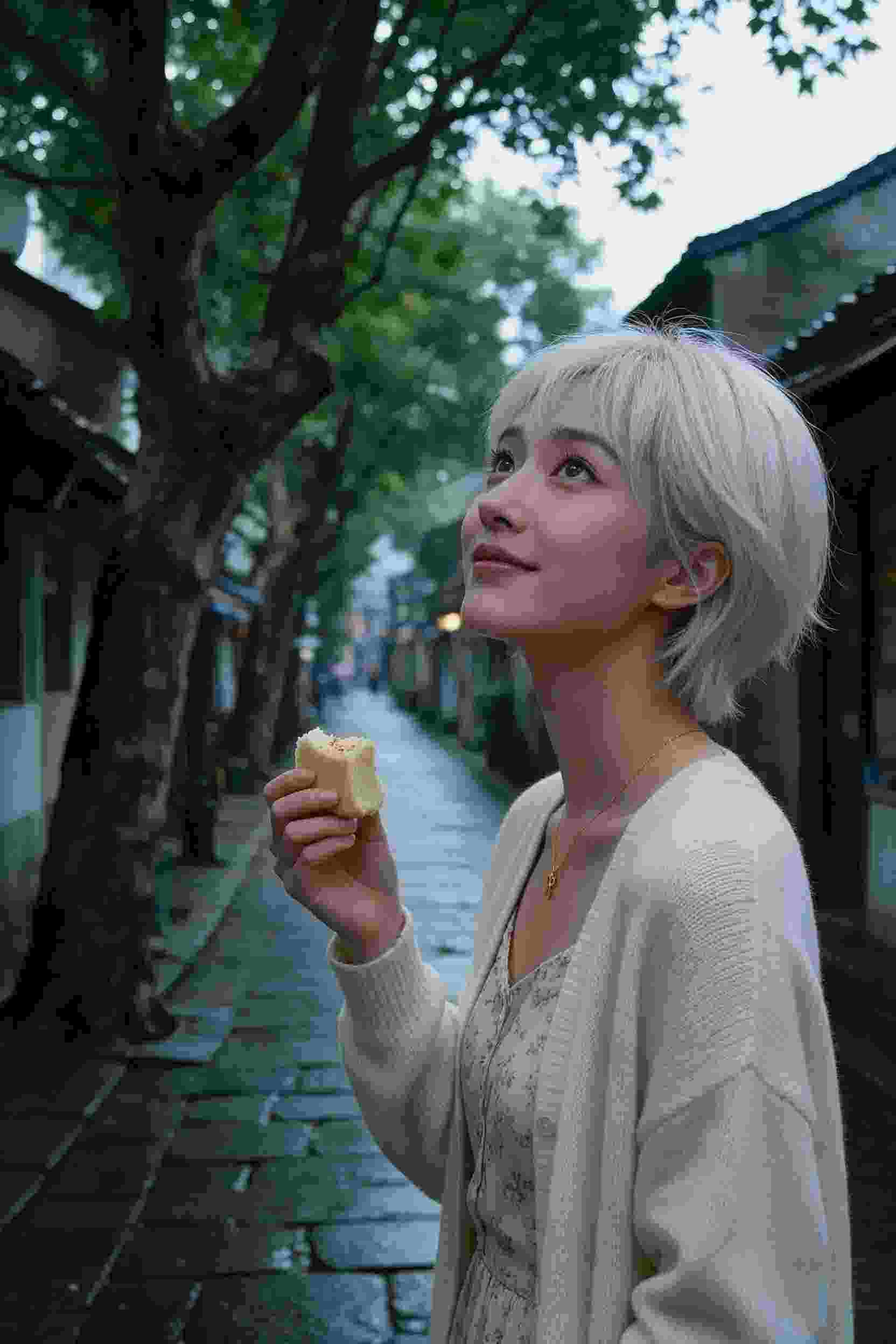 热播影视